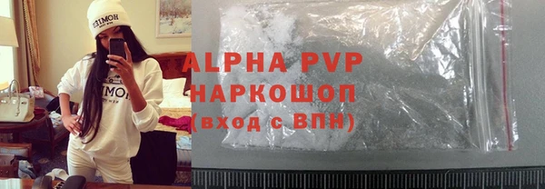 прущие грибы Надым