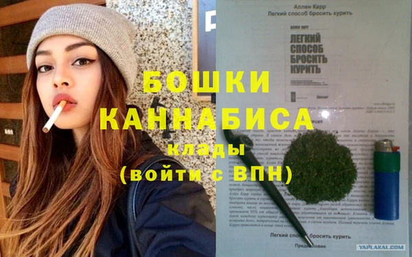 прущие грибы Надым
