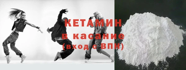 прущие грибы Надым