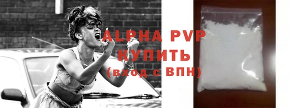 прущие грибы Надым