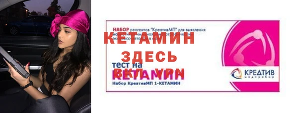 прущие грибы Надым