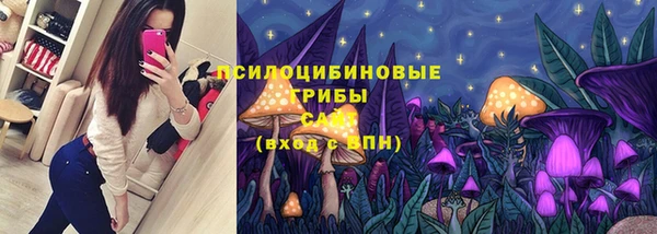 кристаллы Тында