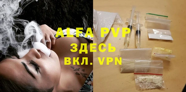 прущие грибы Надым